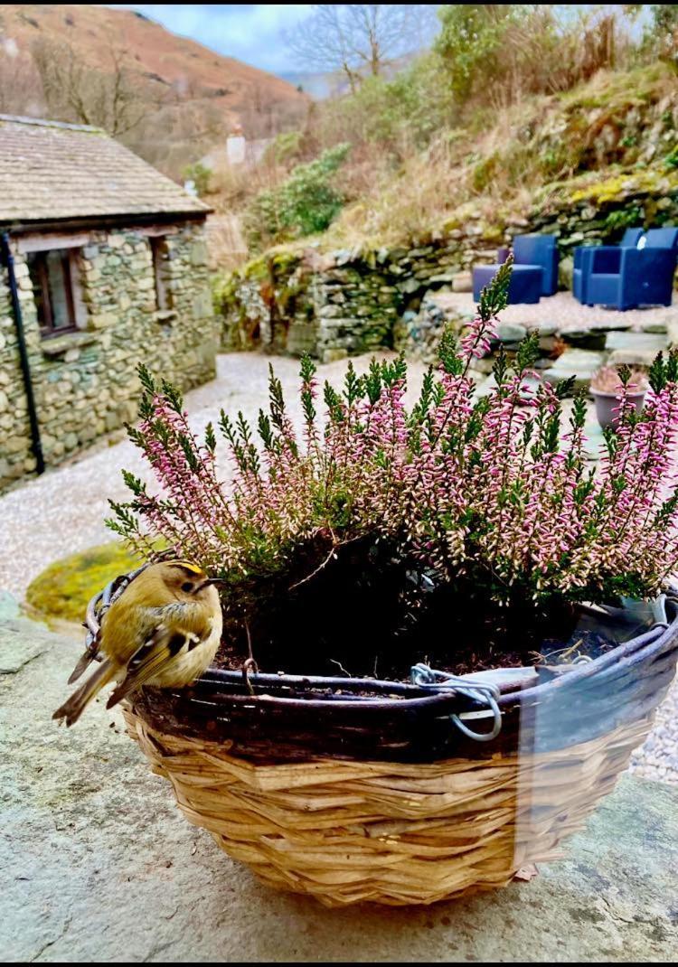 Crookabeck B&B Patterdale Exteriör bild
