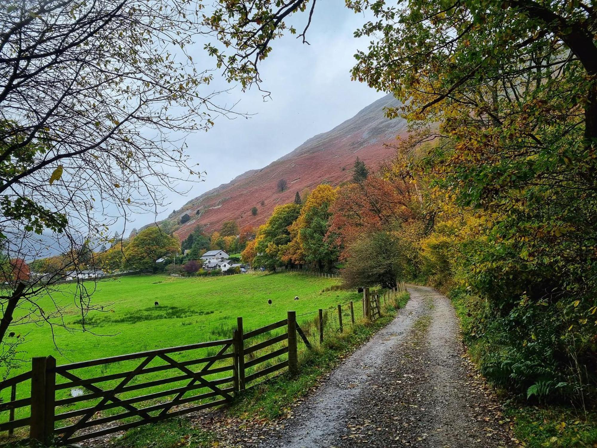 Crookabeck B&B Patterdale Exteriör bild